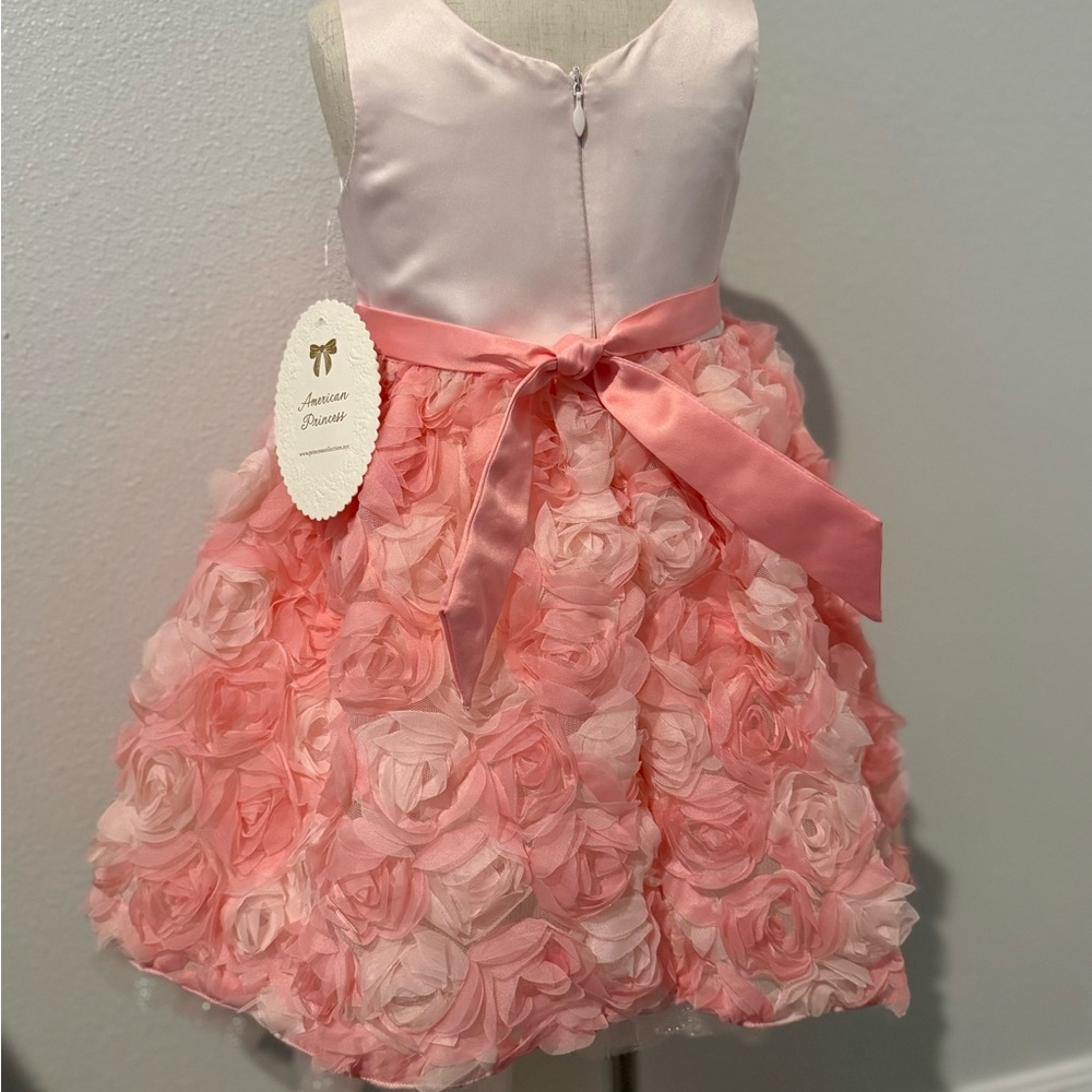American Princess Pink Rosette Toddler Dress & hair clips - Special Event - Picture 2 of 6